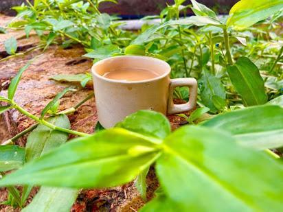 Samarth Atc-Beach Home Stay Ratnāgiri Extérieur photo